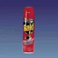 RAID ANT &amp;amp; ROACH12/17.5OZ