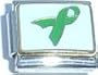 Clearly Charming Green Ribbon Lyme Disease, Organ Donation, Missing Children Awareness Italian Charm