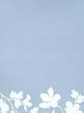 Floral Silhouette (Stationery) (Letter-Perfect Stationery Series)