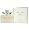 Miss Dior Cherie FOR WOMEN by Christian Dior - 3.4 oz EDP Spray (Tester)