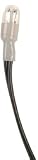 12V 70mA Lead Lamp .2 Dia.