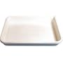 Cesco 30 X 40 Plastic Developing Tray - Cesco CL3040T