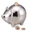Silver Piggy Bank
