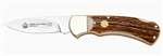 Gold Series 4-Star Stag Md: 210745.