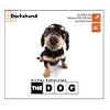 THE DOG～Dachshund