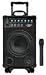 300-Watt Battery Powered PA System With Wireless Mic