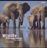 Portfolio 12. Wildlife Fotografien des Jahres 2002 - 