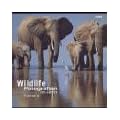 Portfolio 12. Wildlife Fotografien des Jahres 2002