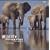 Portfolio 12. Wildlife Fotografien des Jahres 2002