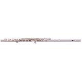Pearl Flutes PF-665RBE Quantz Coda Series Flute
