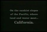 College (1927)-Buster Keaton goes to college and trys to master sports ... all or any of them.