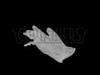 Medium Powder Free Vinyl Glove