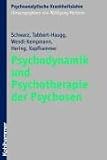 Psychodynamik und Psychotherapie der Psychosen - Frank Schwarz, Christine Trappert-Haugg, Gertrud Wendl-Kempmann, Wolfgang Hering, Hans-Peter Kapfhammer