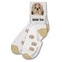 For Bare Feet Dog Breed Shih Tzu Roll Down Sock