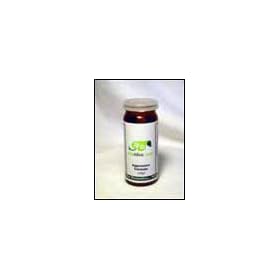 Click here to buy PetAlive Aggression Formula - Natural Remedy for Stressed and Aggressive Pets.
