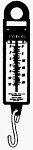 Taylor 55 lb Industrial Hanging Scale