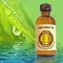 Exotic Home Scented Oil - Bonus Size 120 ml