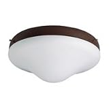 1649-10 - SeaGull Lighting Ceiling Fan Light Kit