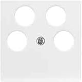 Merten Zentralplatte pws 295319
