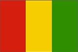 Guinea Flag Nylon 12 in. x 18 in.