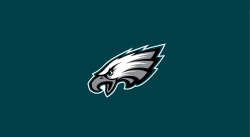 Philadelphia Eagles Pool Table Felt