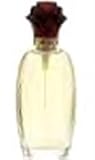 DESIGN by Paul Sebastian EAU DE PARFUM SPRAY 3.4 OZ