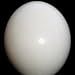 Ostrich Eggs-Gorgeous, Top Quality