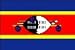 2 x 3 FT - SWAZILAND FLAG - INDOOR-PARADE