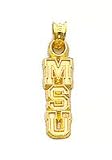 Michigan State University Letters Charm - XC322