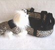 Dog Set Carrier-Coat Leopard Small