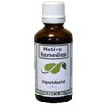 DigestAssist for Digestive System Health Native Remedies