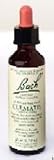Bach Flower Essence - Clematis