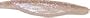 Zoom 5 1/4 inch Super Fluke Bait 10 - Pk., WHITE ICE