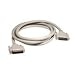 Raritan 20FT MX4 CASCADING CABLE ( CCPT60E )