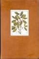 Shamanic snuffs or entheogenic errhines