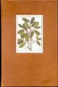 9781888755022: Shamanic Snuffs or Enthogenic Errhines