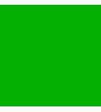 Kelly Green Solid Bandanna