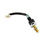 FAE Brake Light Switch by FAE