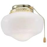 11HrGsjne7L. SL160  School House Ceiling Fan Light Kit, 9 Polished Brass