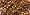 Metallic Gold
