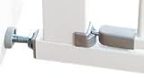 Babydan Swing shut white silver fittings