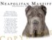 Neapolitan Mastiff Human Trainer Mouse Pad Dog Mousepad