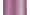 Beach Plum