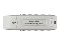 Childrens Toyshop  Electronics : Kingston 2GB DataTraveler ReadyBoost USB Flash Drive