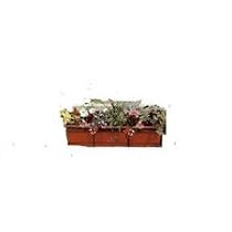 Woodstream #F2436-B Black Flower Box Holder