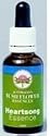 Australian Bush Flower Essences - Creative - 30 ml Combination Essences