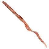 10 Ribbontail PB&J 10pk