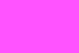 Bazic Poster Board, 22 x 28 Inches, Fluorescent Pink (Case of 25) (5031-25)