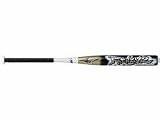 2010 Frenzy II -10 oz. Fastpitch Softball Bat from Mizuno
