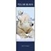 Polar Bears 2009 Slimline Wall Calendar